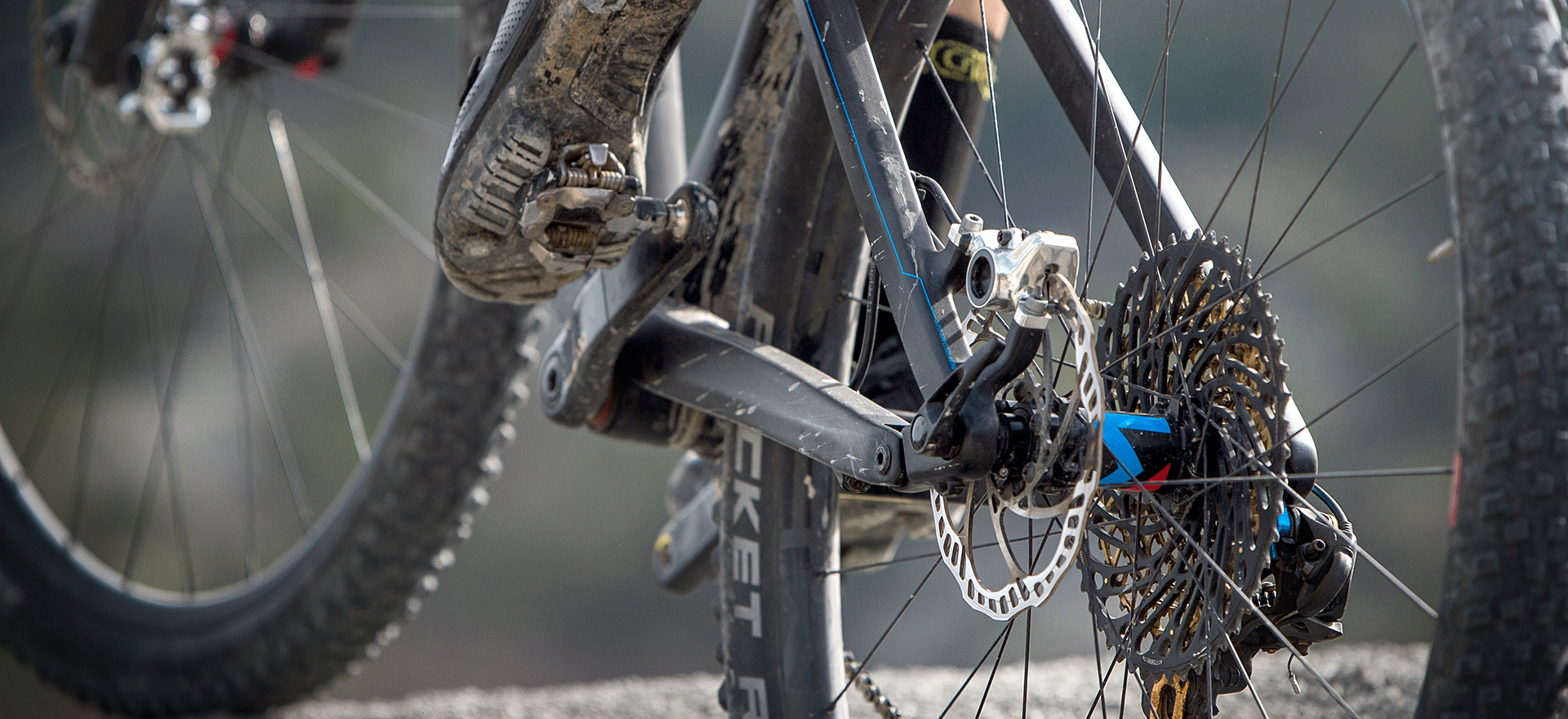 Rear wheel of a mountain bike fitted with MAGURUA MT8 Pro disc brake.